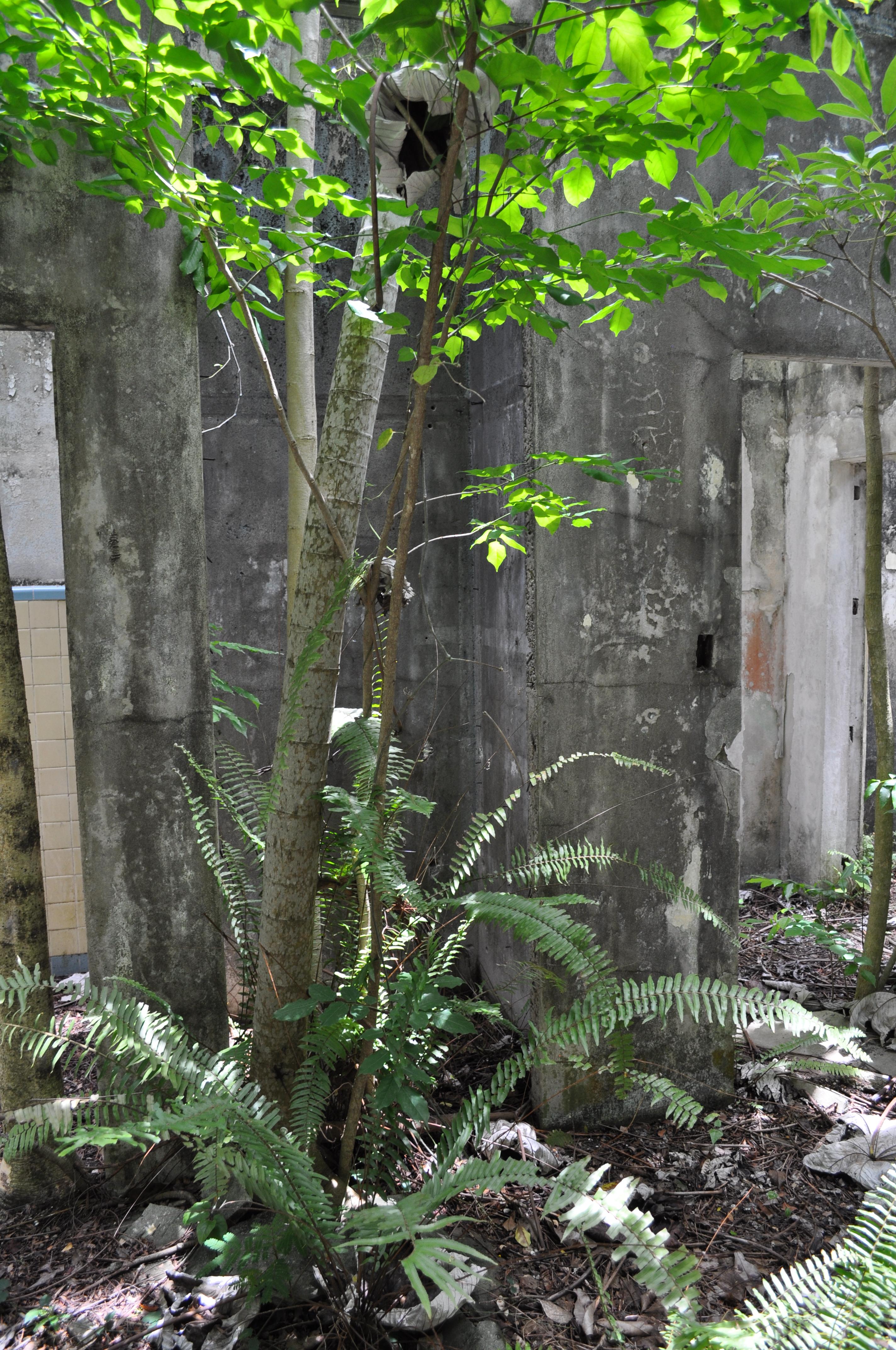 Antigua Lechería y Residencia de la Facultad de la Universidad de Puerto Rico - San Juan (Río Piedras) - 2015 00022